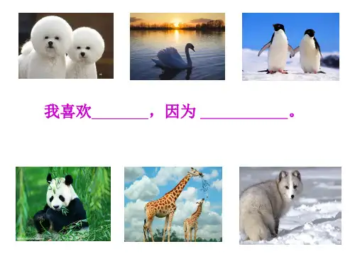 小学语文一年级课外绘本阅读《小绿狼》指导PPT