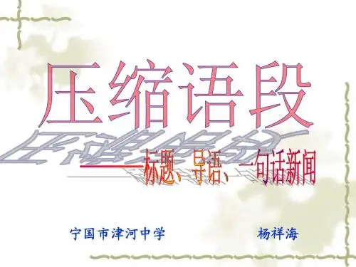 新闻类压缩语段(第1课时) (1)