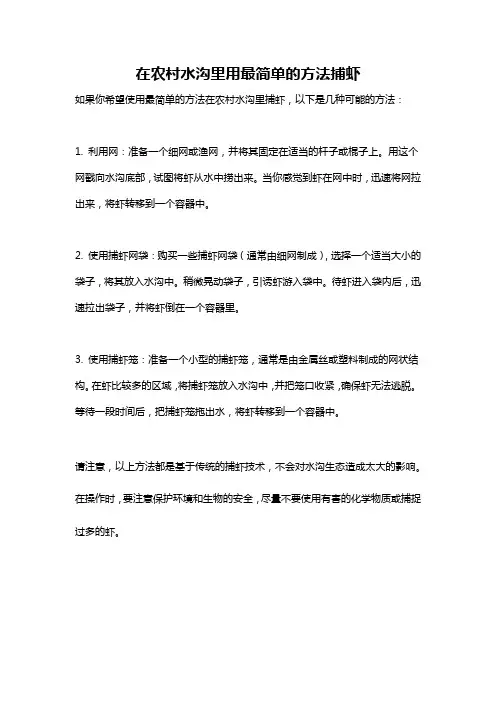 在农村水沟里用最简单的方法捕虾