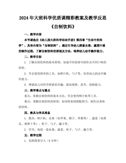 2024年大班科学优质课精彩教案及教学反思《自制饮料》