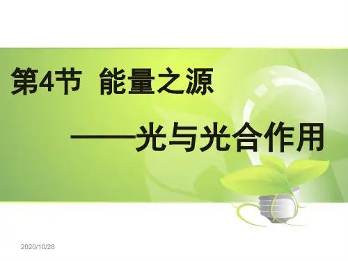 能量之源--光与光合作用 课件 人教版高中生物必修一