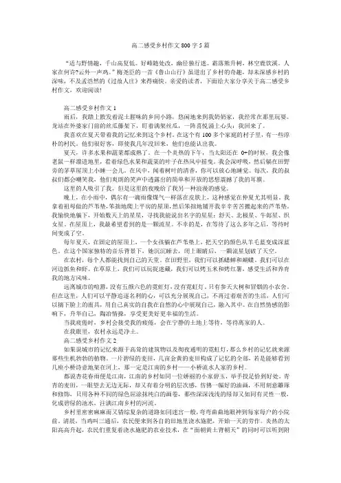 高二感受乡村作文800字5篇