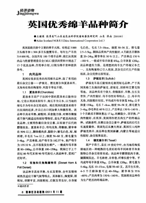 英国优秀绵羊品种简介
