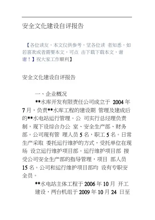 安全文化建设自评报告