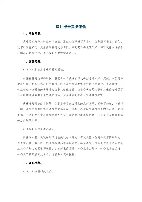 审计报告实务案例