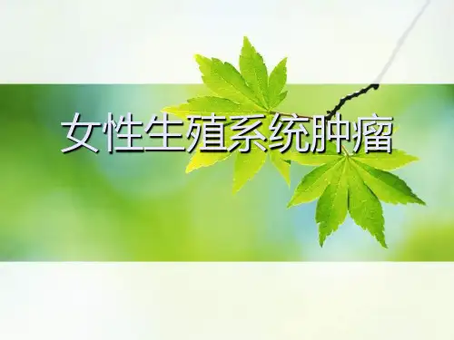 女性生殖系统肿瘤 (2)  PPT课件