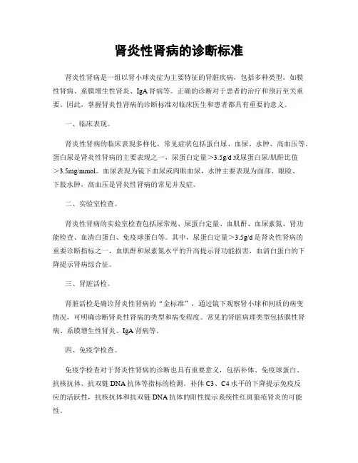 肾炎性肾病的诊断标准