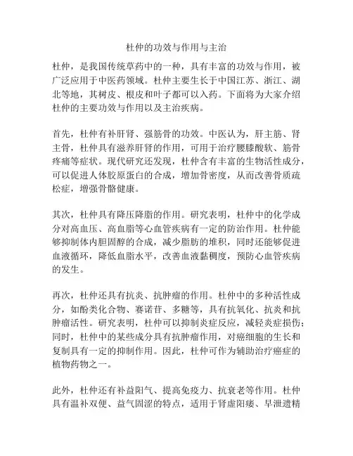杜仲的功效与作用与主治