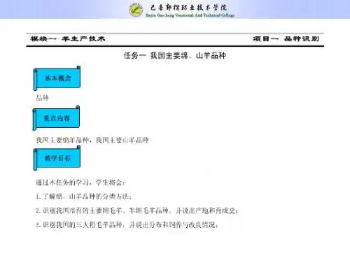 任务一国内绵羊山羊品种介绍