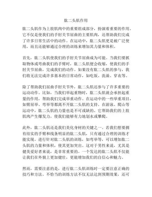 肱二头肌作用