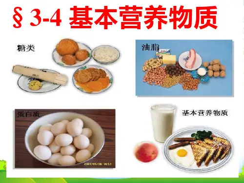 人教版化学必修二第三章第四节基本营养物质(共17张PPT)
