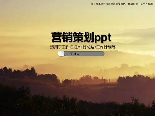 PPT 营销策划ppt