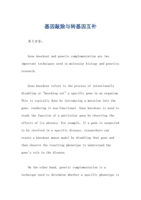 基因敲除与转基因互补