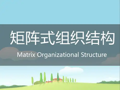 矩阵制组织结构