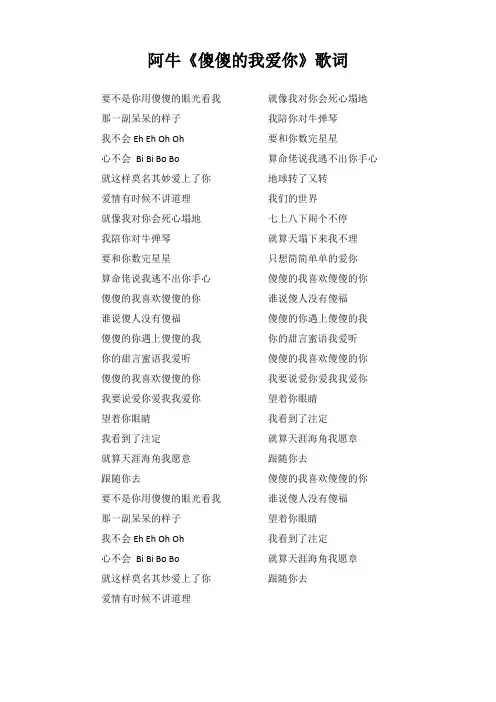 阿牛《傻傻的我爱你》歌词(专辑：桃花朵朵开)