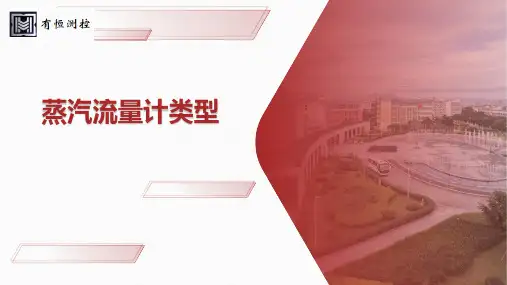蒸汽流量计类型