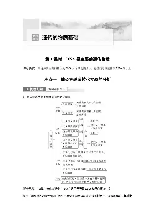2023年高考生物一轮复习(新人教新高考) 第6单元 第1课时 DNA是主要的遗传物质
