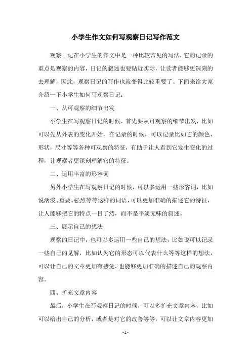 小学生作文如何写观察日记写作范文