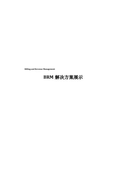 BRM系统介绍20121003
