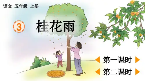 最新部编人教版五年级语文上册《桂花雨》课件