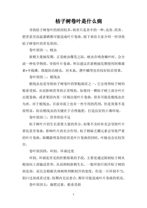 桔子树卷叶是什么病