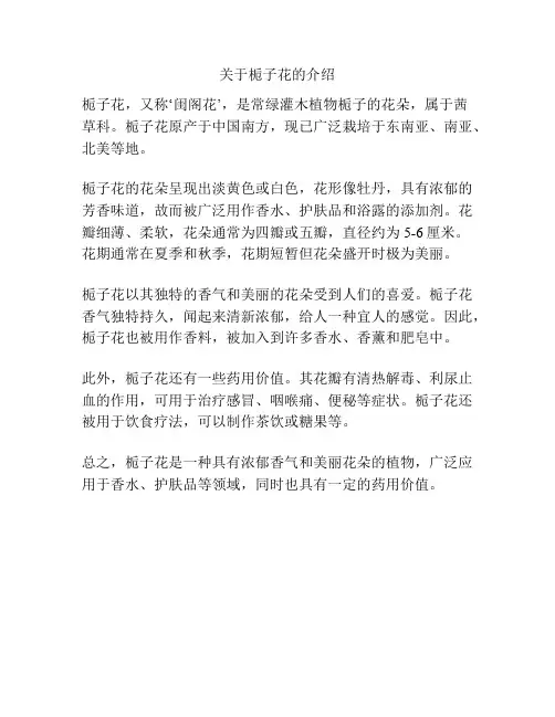 关于栀子花的介绍
