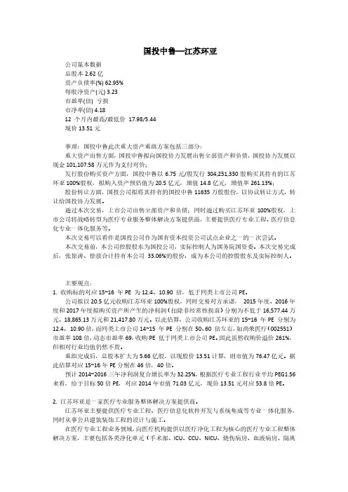 国投中鲁江苏环亚