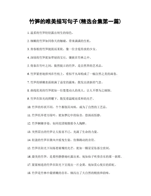 竹笋的唯美描写句子(精选合集两篇)