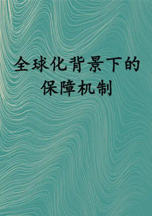 全球化背景下的国家安全保障机制