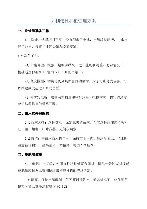 大棚樱桃种植管理方案
