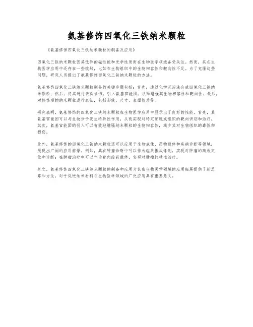 氨基修饰四氧化三铁纳米颗粒