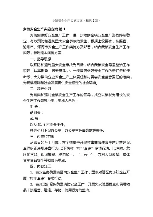 乡镇安全生产实施方案（精选5篇）