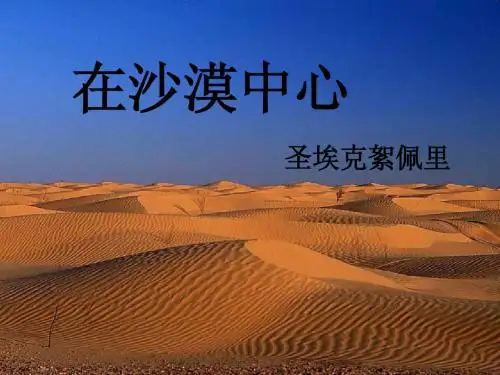 在沙漠中心