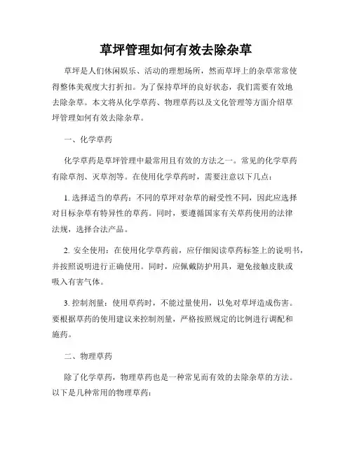 草坪管理如何有效去除杂草