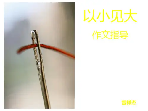 ”以小见大“作文指导 