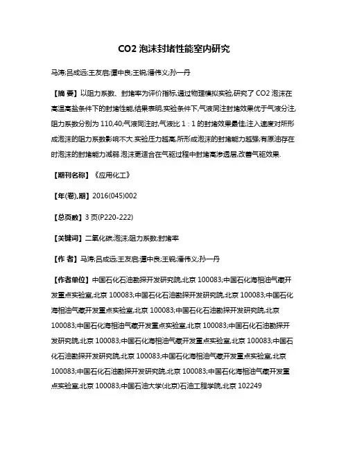 CO2泡沫封堵性能室内研究