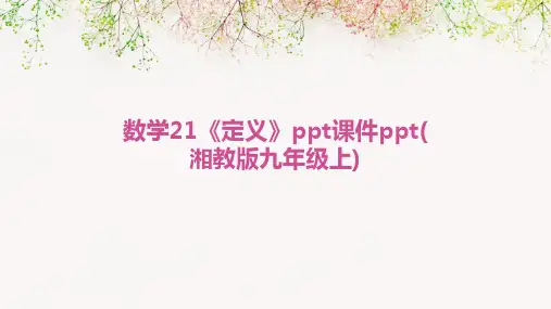 数学21《定义》ppt课件ppt(湘教版九年级上)