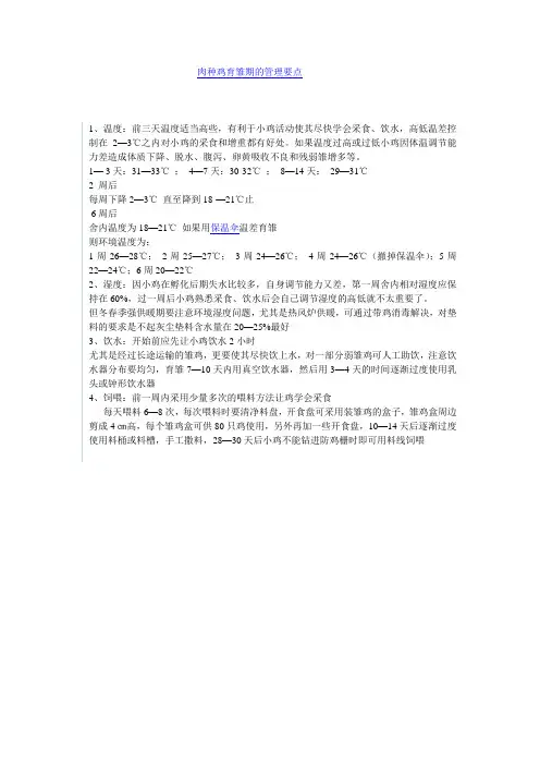 肉种鸡育雏期的管理要点