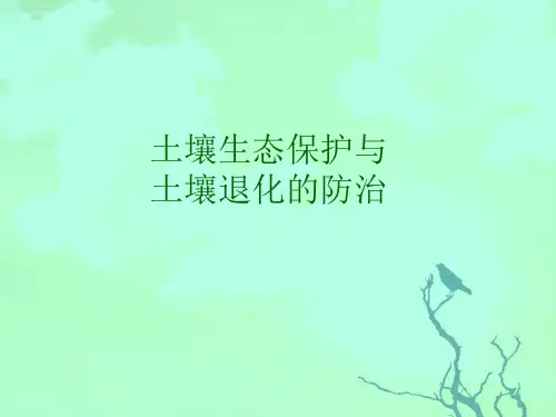 土壤生态保护与土壤退化的防治