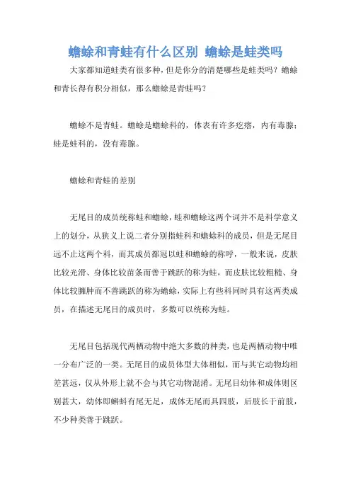蟾蜍和青蛙有什么区别 蟾蜍是蛙类吗