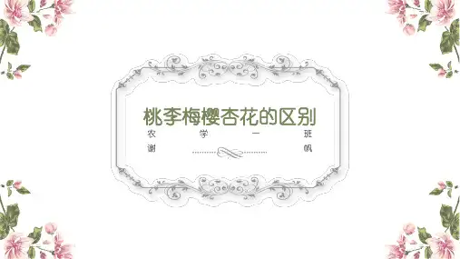 桃李梅樱杏花的区别