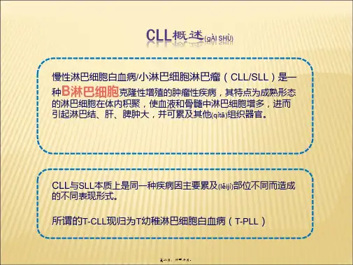 医学专题慢性淋巴细胞白血病CLL指引解读