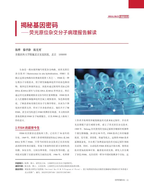 揭秘基因密码——荧光原位杂交分子病理报告解读