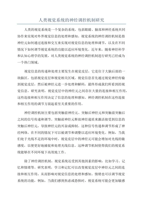 人类视觉系统的神经调控机制研究