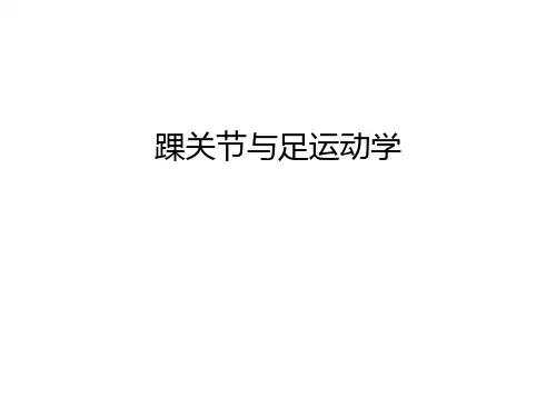 踝关节与足运动学资料讲解