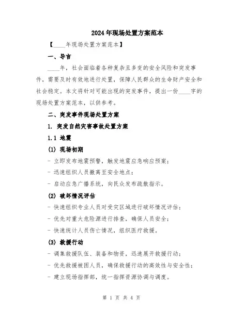 2024年现场处置方案范本