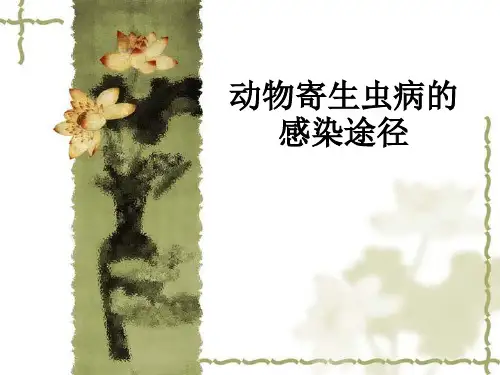 动物寄生虫病的感染途径ppt课件