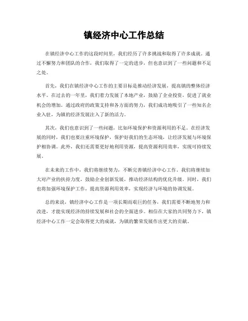 镇经济中心工作总结