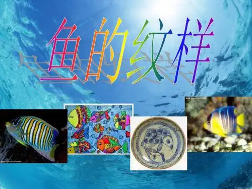 鱼的纹样 PPT精品课件2