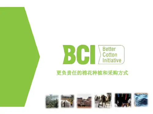 更负责任的棉花种植和采购方式 BCI-Levis 上海培训 PPT